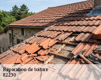 Réparation de toiture 82230