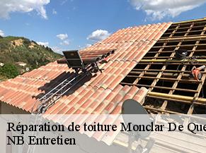 Réparation de toiture monclar-de-quercy-82230 NB Entretien
