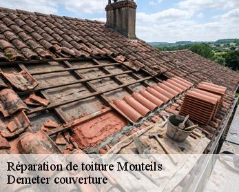 Réparation de toiture 82300