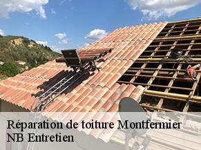 Réparation de toiture montfermier-82270 NB Entretien
