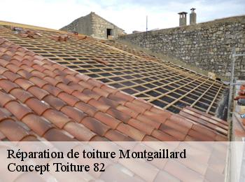 Réparation de toiture montgaillard-82120 Concept Toiture 82