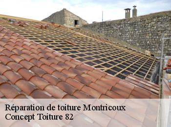 Réparation de toiture montricoux-82800 CALVET OCCITANIE 82