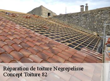Réparation de toiture negrepelisse-82800 CALVET OCCITANIE 82