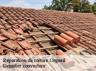 Réparation de toiture orgueil-82370 Demeter couverture