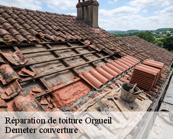Réparation de toiture 82370