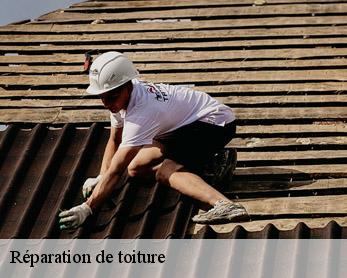 Réparation de toiture