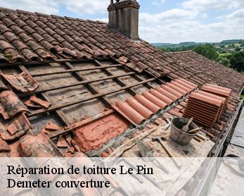 Réparation de toiture  82340