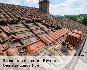 Réparation de toiture  82370