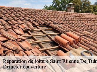 Réparation de toiture saint-etienne-de-tulmont-82410 Demeter couverture