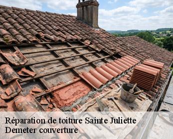 Réparation de toiture  82110