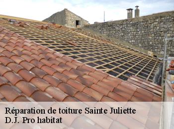 Réparation de toiture  sainte-juliette-82110 D.J. Pro habitat