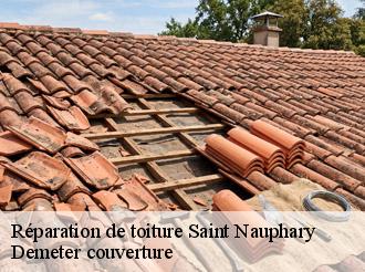 Réparation de toiture  saint-nauphary-82370 Demeter couverture
