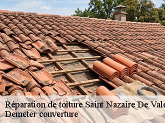 Réparation de toiture saint-nazaire-de-valentane-82190 Demeter couverture