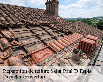 Réparation de toiture  82400
