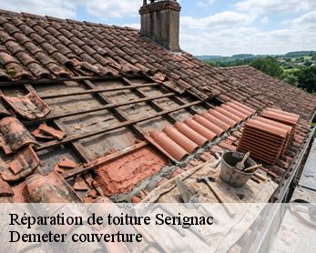Réparation de toiture 82500