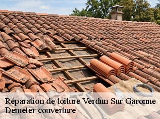 Réparation de toiture verdun-sur-garonne-82600 Demeter couverture
