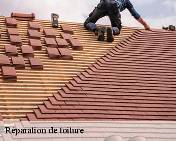 Réparation de toiture 82370