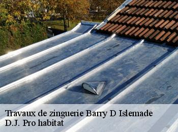 Travaux de zinguerie  barry-d-islemade-82290 D.J. Pro habitat