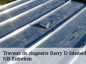 Travaux de zinguerie barry-d-islemade-82290 NB Entretien