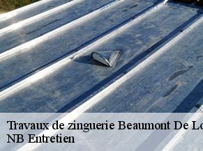 Travaux de zinguerie beaumont-de-lomagne-82500 Concept Toiture 82