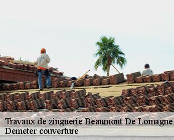 Travaux de zinguerie  82500