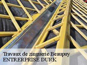 Travaux de zinguerie beaupuy-82600 ENTRERPRISE DURK