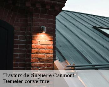 Travaux de zinguerie 82210