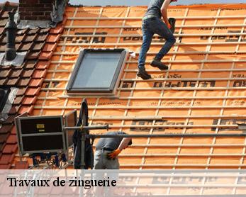 Travaux de zinguerie 82210