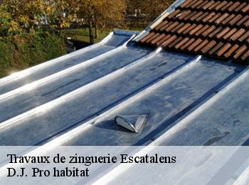 Travaux de zinguerie  escatalens-82700 D.J. Pro habitat