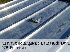 Travaux de zinguerie la-bastide-du-temple-82100 NB Entretien