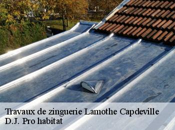 Travaux de zinguerie  lamothe-capdeville-82130 D.J. Pro habitat