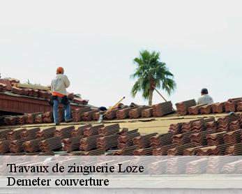 Travaux de zinguerie 82160