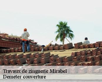 Travaux de zinguerie 82440