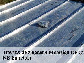 Travaux de zinguerie montaigu-de-quercy-82150 NB Entretien