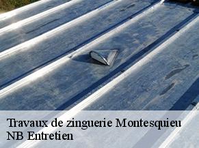 Travaux de zinguerie montesquieu-82200 NB Entretien