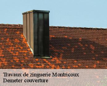 Travaux de zinguerie