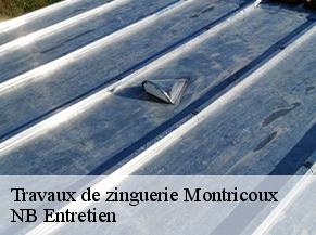 Travaux de zinguerie montricoux-82800 NB Entretien