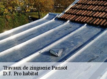 Travaux de zinguerie  parisot-82160 D.J. Pro habitat