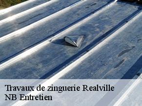 Travaux de zinguerie  realville-82440 NB Entretien