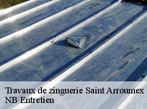 Travaux de zinguerie saint-arroumex-82210 NB Entretien