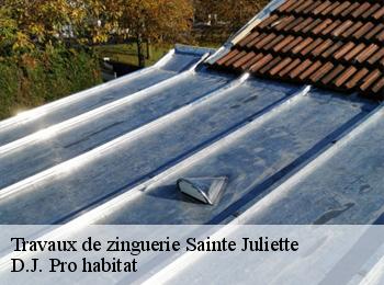 Travaux de zinguerie  sainte-juliette-82110 D.J. Pro habitat