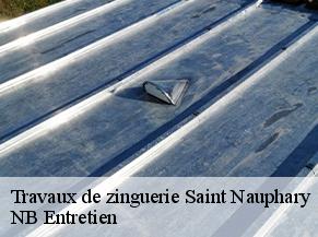 Travaux de zinguerie saint-nauphary-82370 NB Entretien