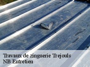 Travaux de zinguerie trejouls-82110 NB Entretien