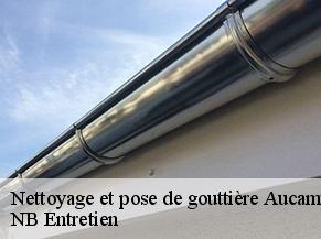 Nettoyage et pose de gouttière aucamville-82600 Concept Toiture 82