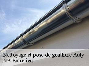 Nettoyage et pose de gouttière auty-82220 NB Entretien