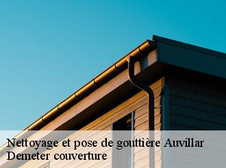 Nettoyage et pose de gouttière auvillar-82340 Demeter couverture