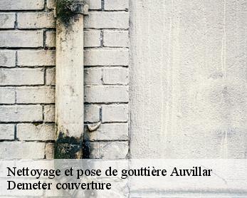 Nettoyage et pose de gouttière 82340