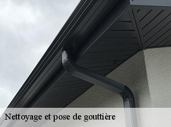 Nettoyage et pose de gouttière