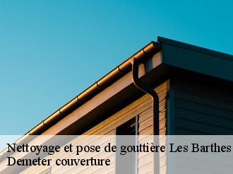 Nettoyage et pose de gouttière les-barthes-82100 Demeter couverture
