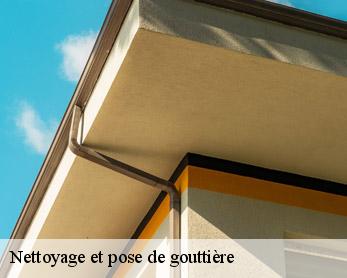 Nettoyage et pose de gouttière